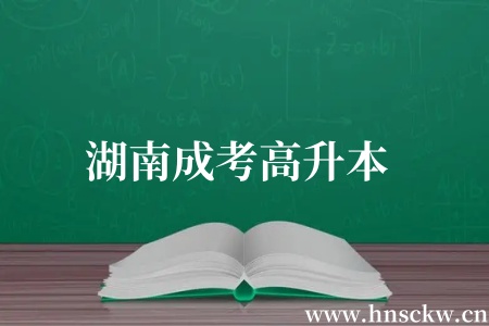 湖南成考高升本