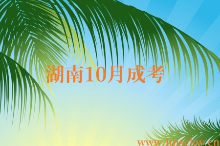 湖南10月成考