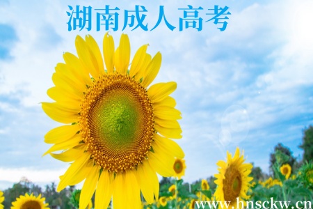 湖南成人高考