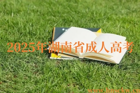 2025年湖南省成人高考