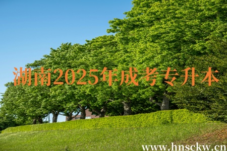 湖南2025年成考专升本