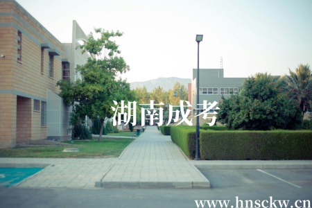 湖南成考