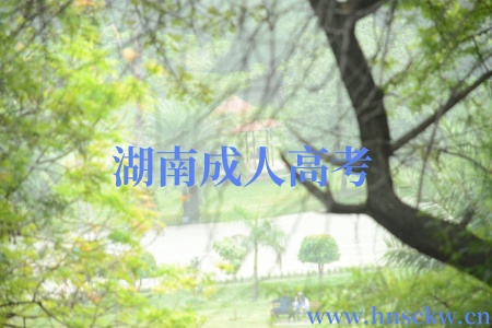 湖南成人高考