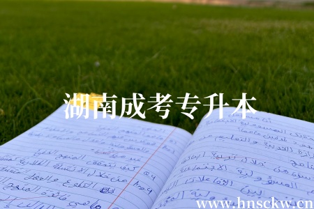 湖南成考专升本