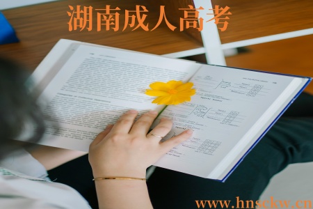 湖南成人高考