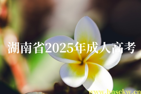 湖南省2025年成人高考