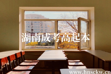 湖南成考高起本