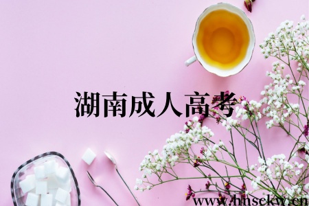 湖南成人高考