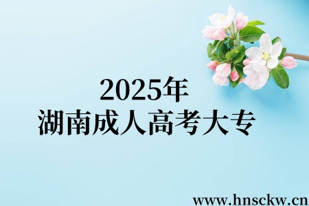 2025年湖南成人高考大专