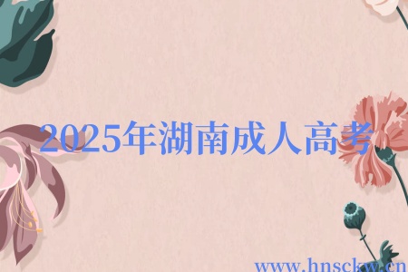 2025年湖南成人高考