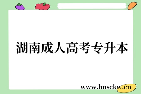 湖南成人高考专升本