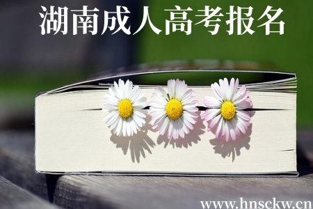 湖南成人高考报名