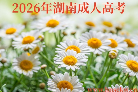 2026年湖南成人高考
