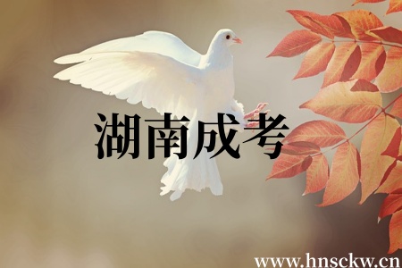 湖南成考