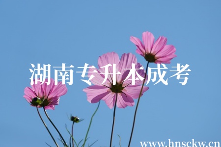 湖南专升本成考成绩查询官网有哪几个? 湖南专升本成考