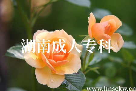 湖南成人专科