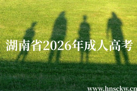 湖南省2026年成人高考