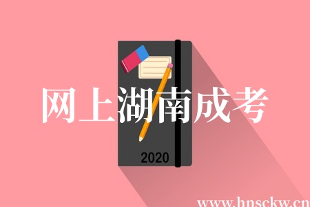 网上湖南成考