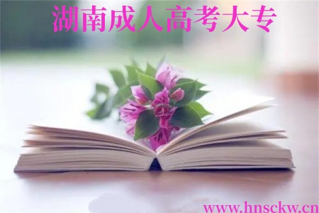 湖南成人高考大专