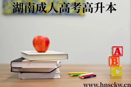湖南成人高考高升本