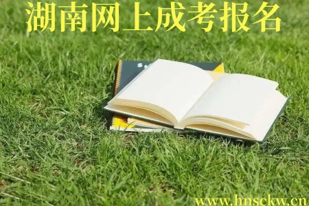 湖南成考网上报名