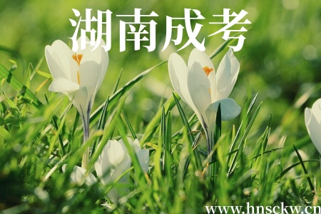 湖南成考