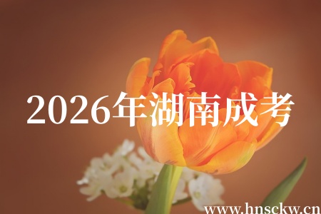 2026年湖南成考