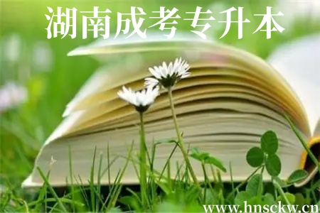 湖南成考专升本