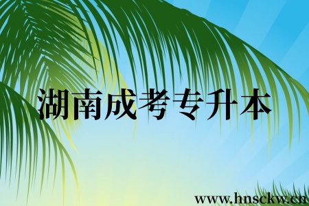 湖南成考专升本