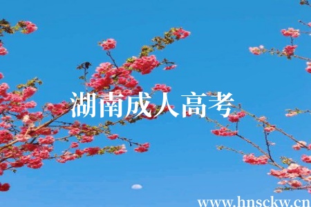 2026年湖南成人高考考试科目安排及考试时间 湖南成人高考