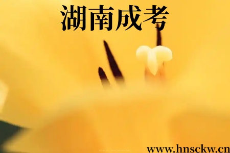 湖南成考