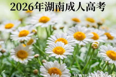 2026年湖南成人高考