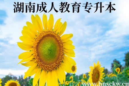 湖南成人教育专升本学历认证流程有哪些内容？