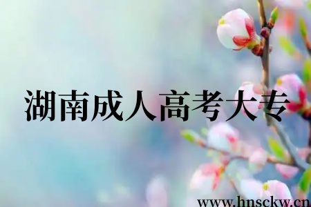 2026年湖南成人高考大专准考证在哪打印？官方指引来了！